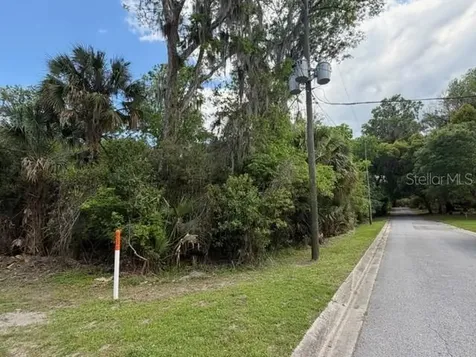 Cr 234 Micanopy FL 32667
