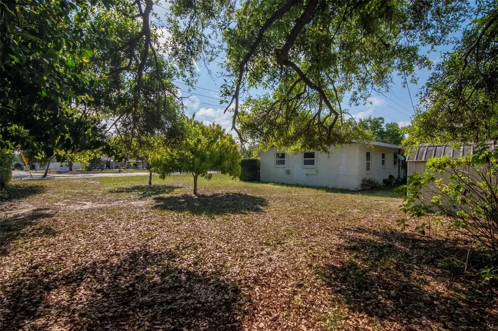 230 Milwaukee Avenue Dunedin FL 34698