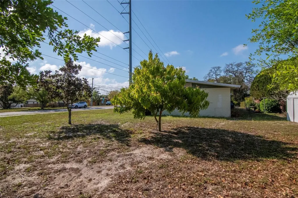 230 Milwaukee Avenue Dunedin FL 34698