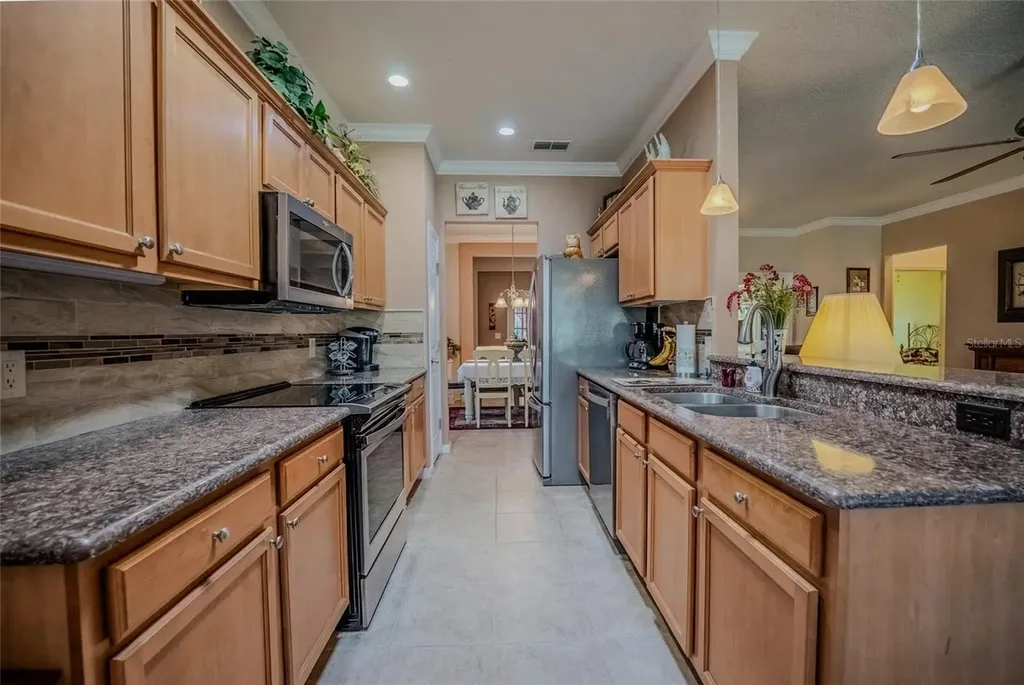 9077 SW 70th Loop Ocala FL 34481