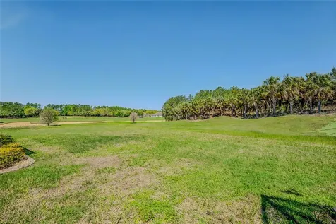 9077 SW 70th Loop Ocala FL 34481