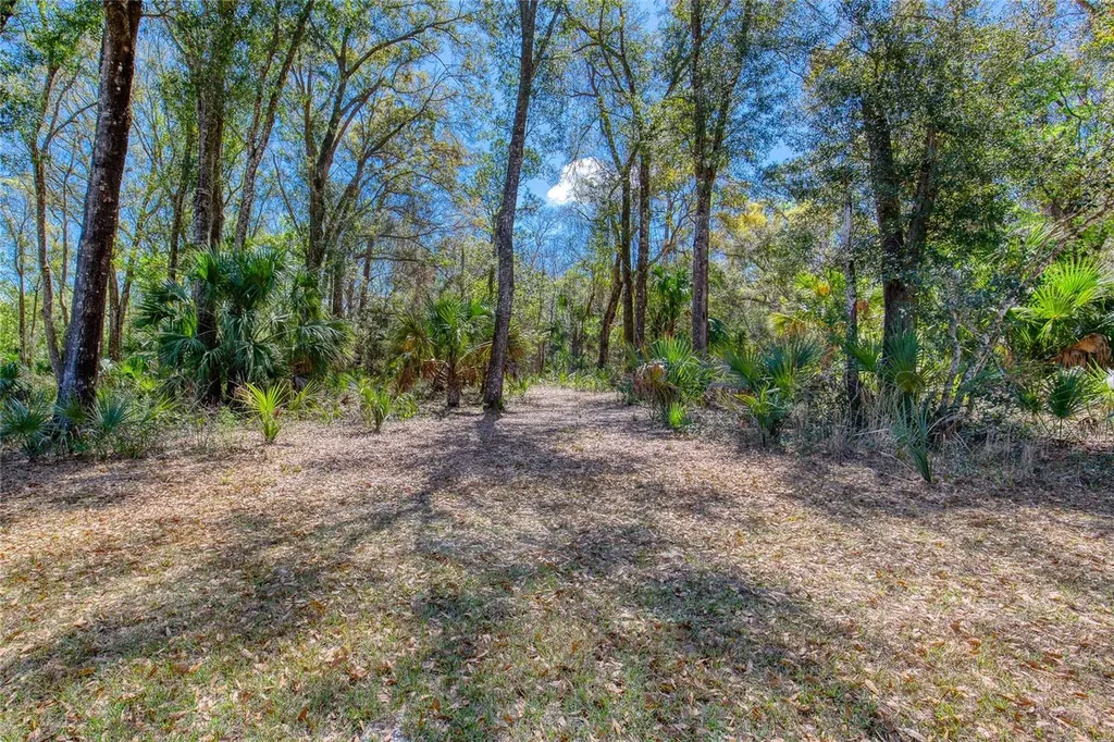 1805 Adrian Creek Boulevard Port Orange FL 32128