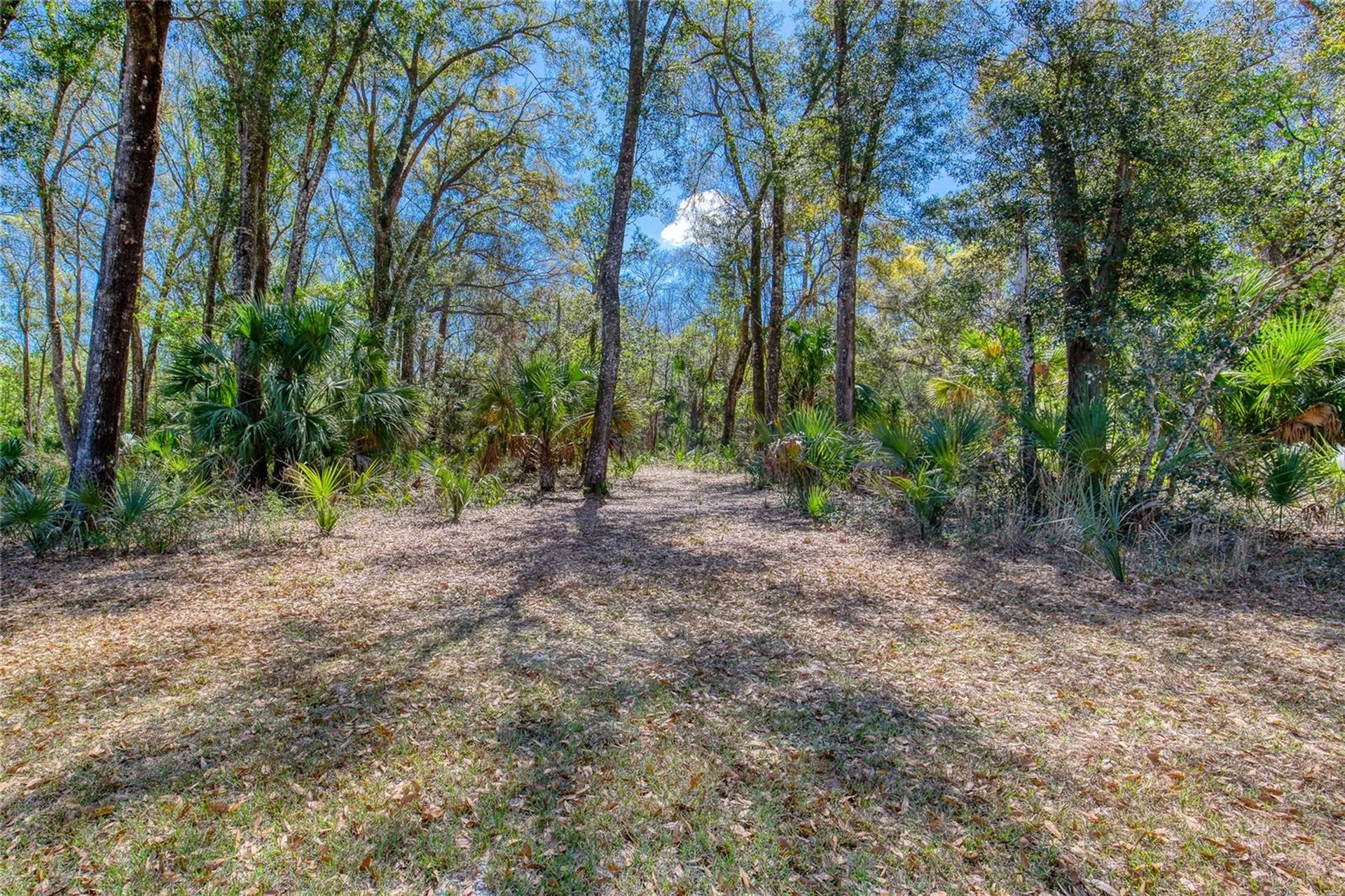 1805 Adrian Creek Boulevard Port Orange FL 32128