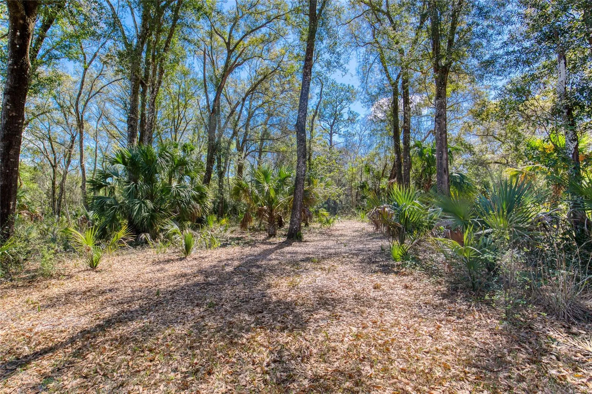 1805 Adrian Creek Boulevard Port Orange FL 32128