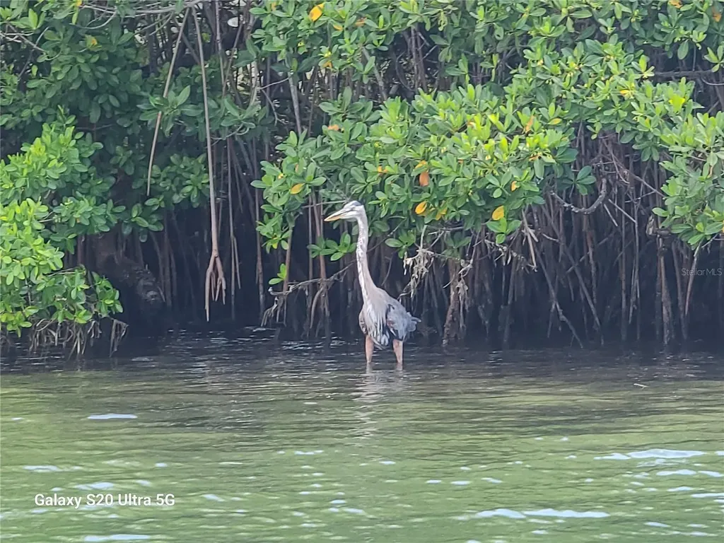 360 Gulf Of Mexico Drive Longboat Key FL 34228