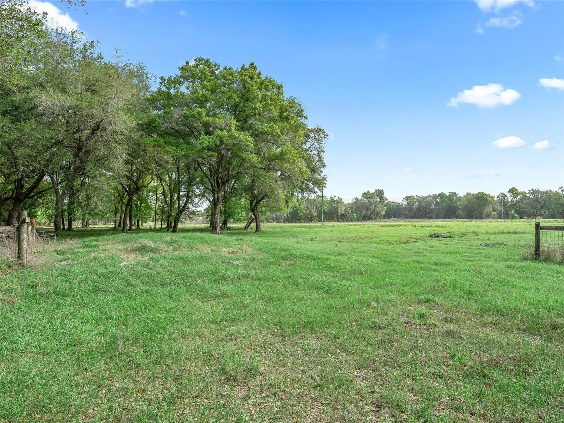 8234 S Us 301 Bushnell FL 33513