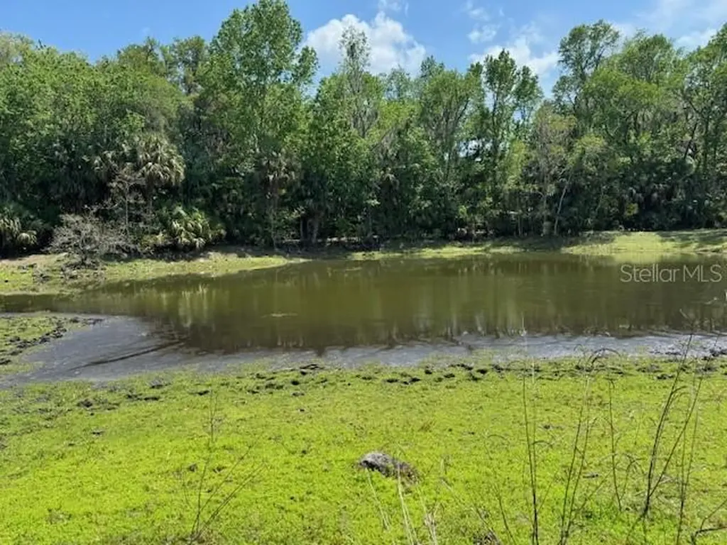 2992 N C 470 Lake Panasoffkee FL 33538