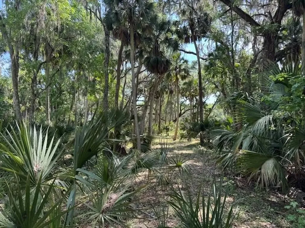 2992 N C 470 Lake Panasoffkee FL 33538