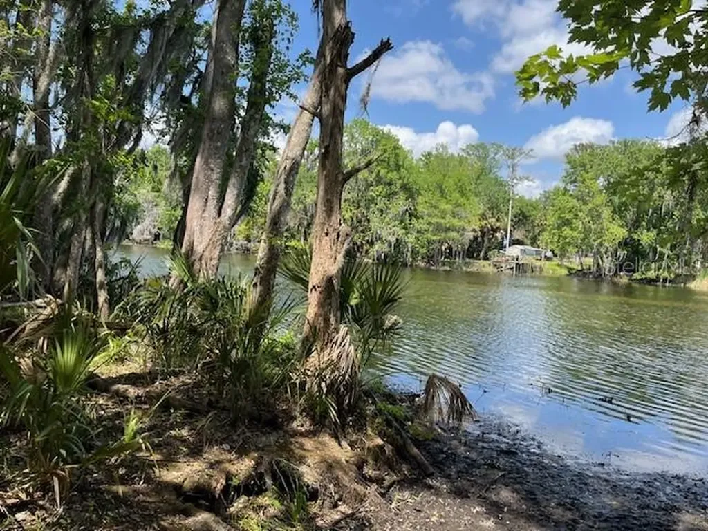 2992 N C 470 Lake Panasoffkee FL 33538