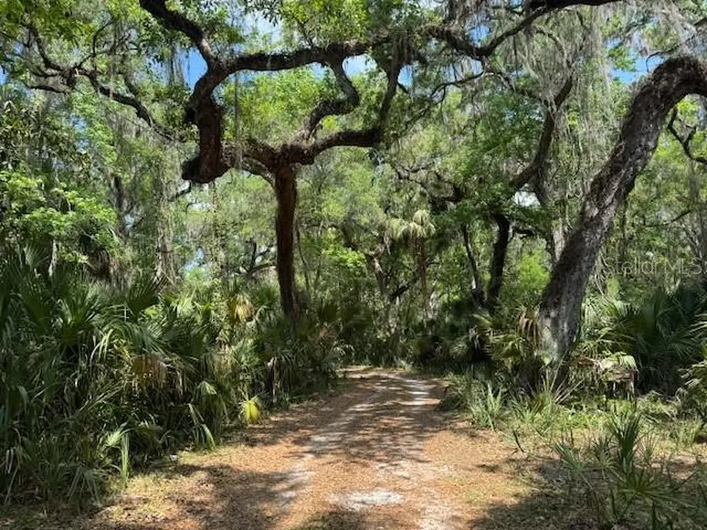 2992 N C 470 Lake Panasoffkee FL 33538