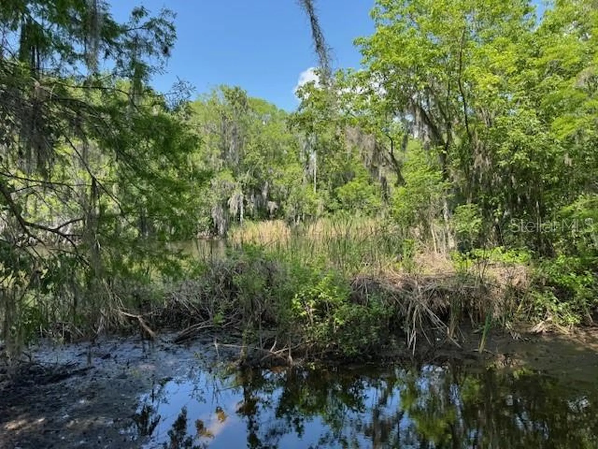2992 N C 470 Lake Panasoffkee FL 33538