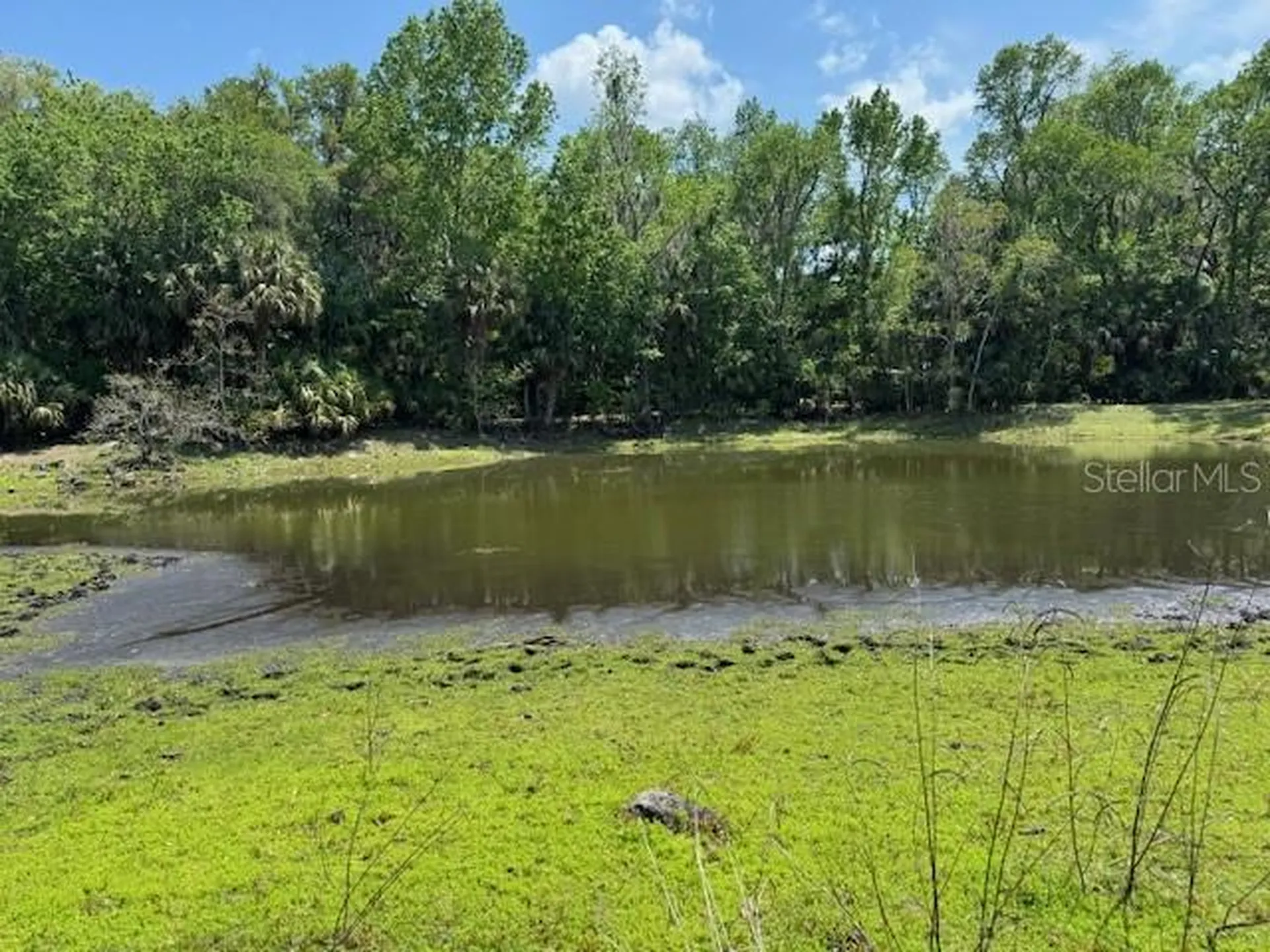 2992 N C 470 Lake Panasoffkee FL 33538