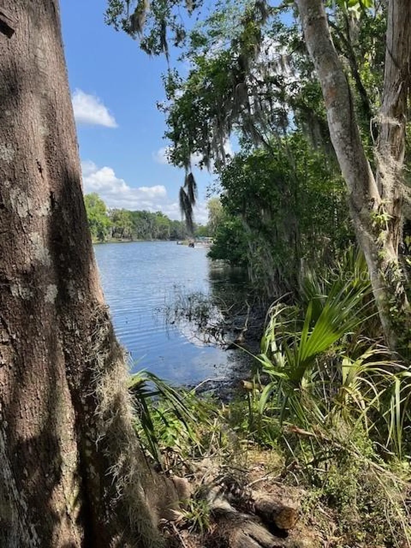 2992 N C 470 Lake Panasoffkee FL 33538
