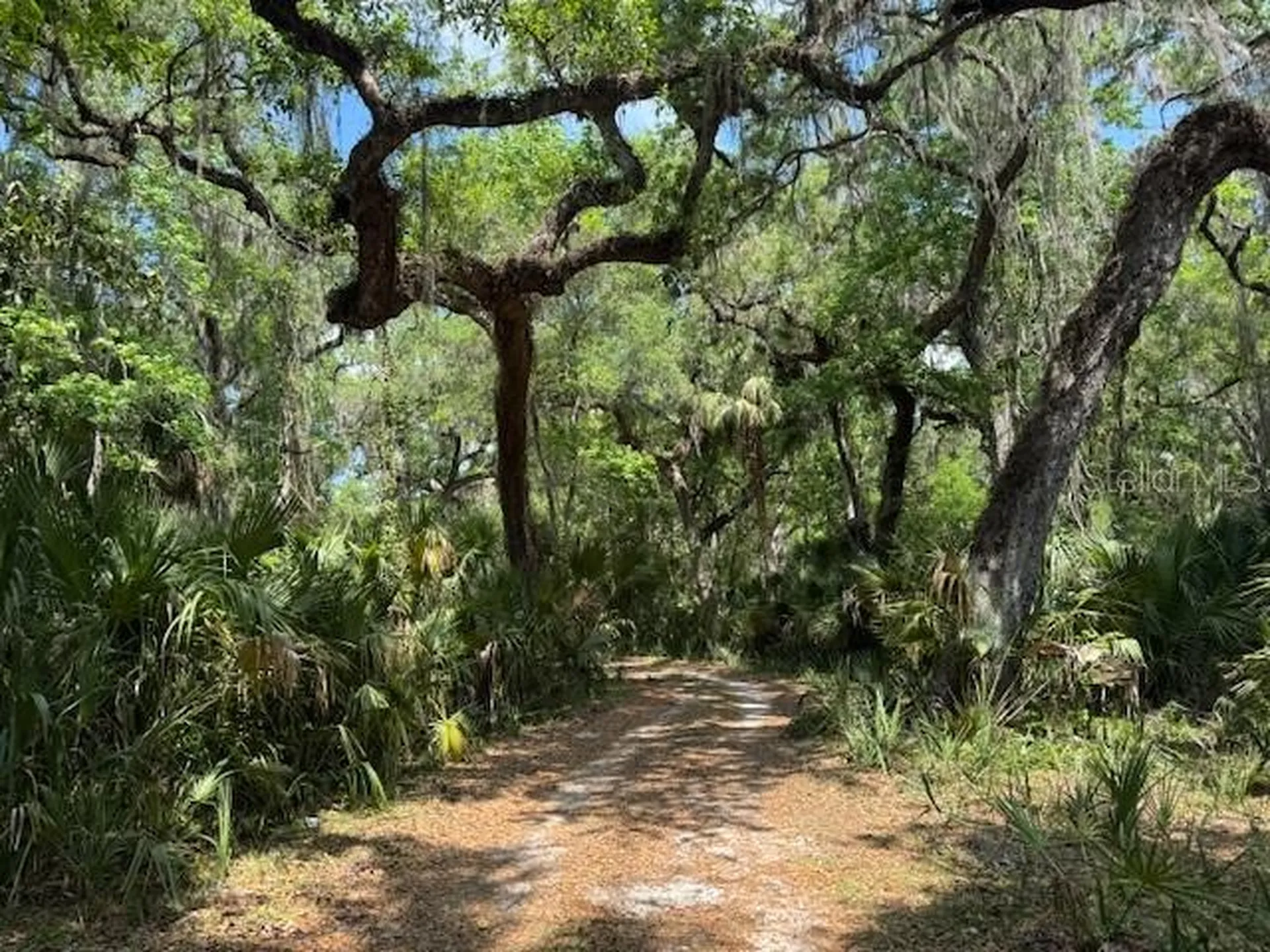2992 N C 470 Lake Panasoffkee FL 33538