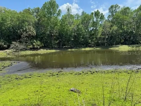 2992 N C 470 Lake Panasoffkee FL 33538