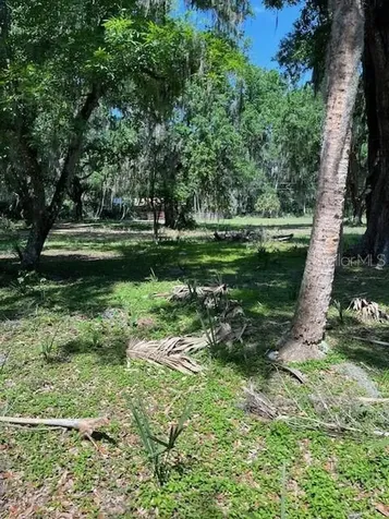 2992 N C 470 Lake Panasoffkee FL 33538