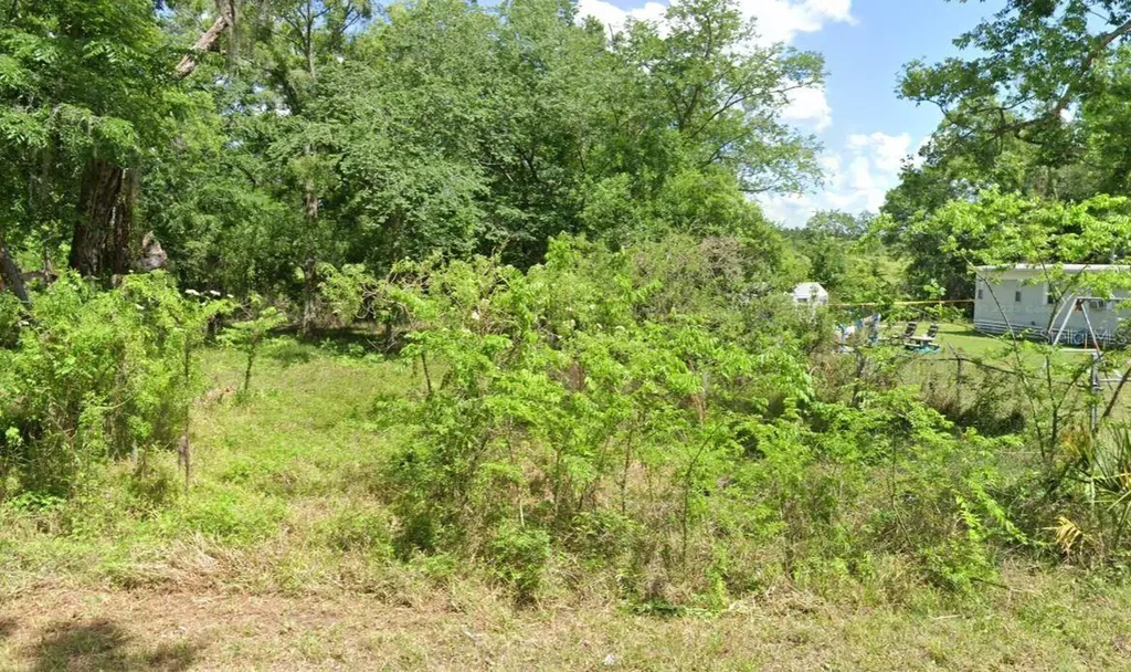 11515 County Rd 675 W Webster FL 33597