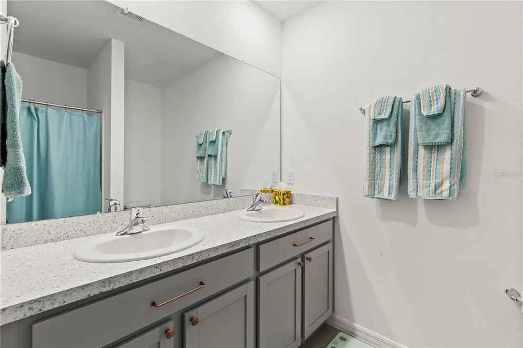 6250 Wandering Willow Drive Wesley Chapel FL 33545