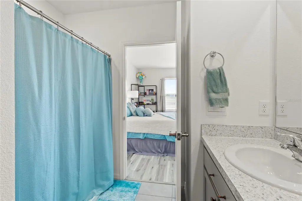 6250 Wandering Willow Drive Wesley Chapel FL 33545