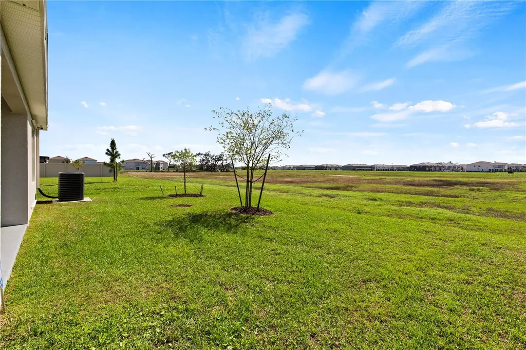 6250 Wandering Willow Drive Wesley Chapel FL 33545