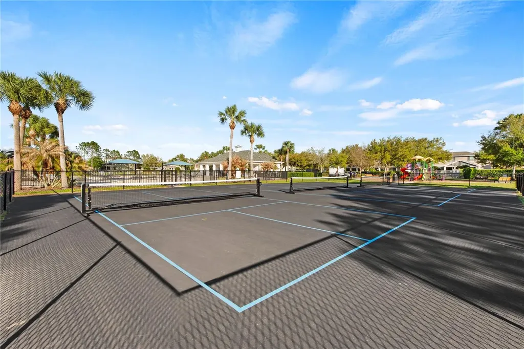 6250 Wandering Willow Drive Wesley Chapel FL 33545