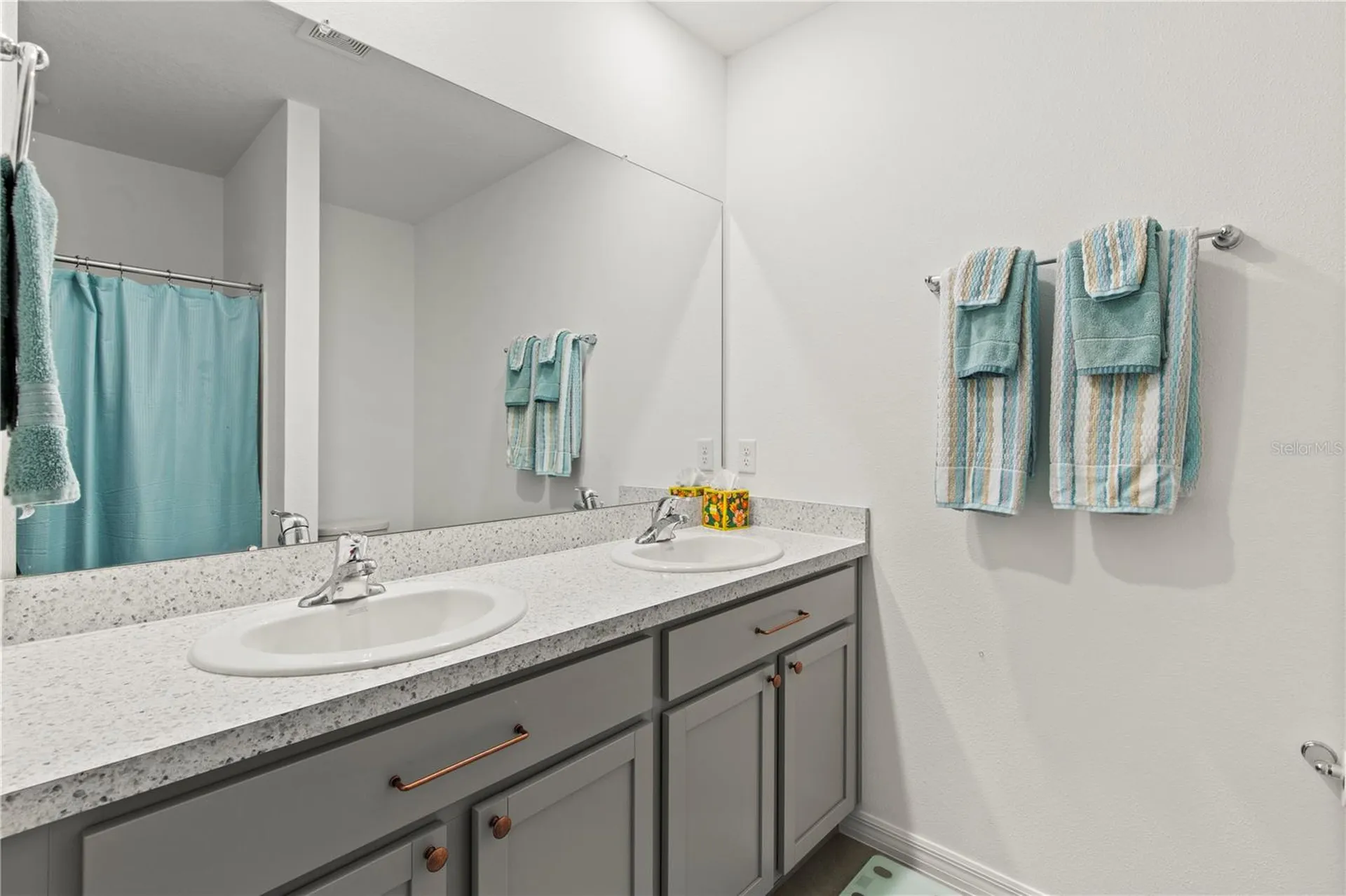 6250 Wandering Willow Drive Wesley Chapel FL 33545