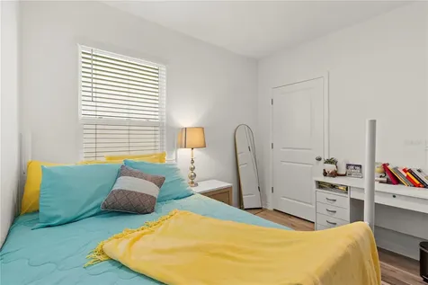 6250 Wandering Willow Drive Wesley Chapel FL 33545