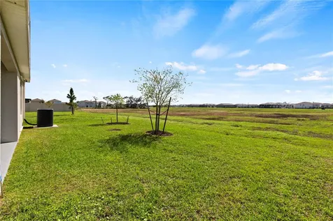 6250 Wandering Willow Drive Wesley Chapel FL 33545