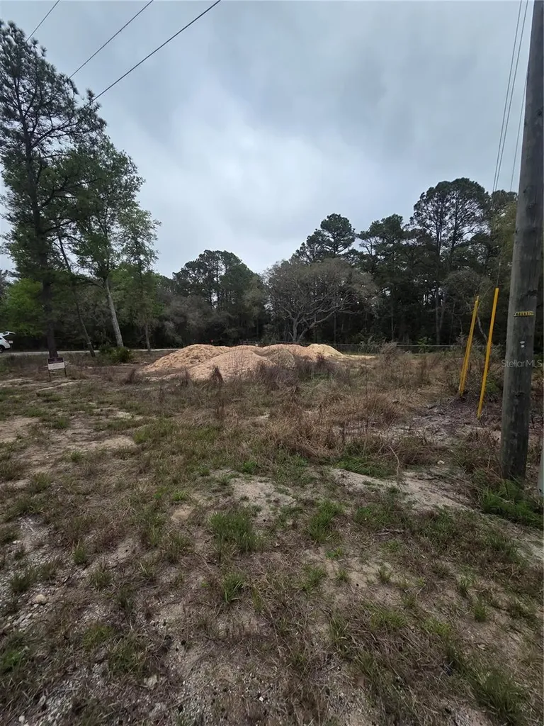 127 Sequoia Trail Ocklawaha FL 32179