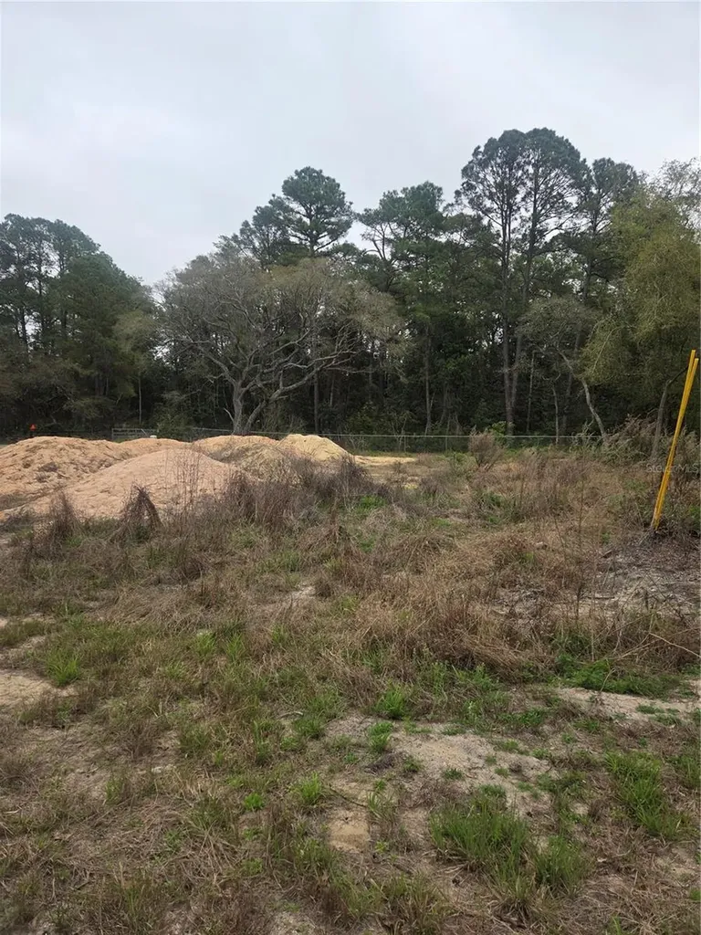 127 Sequoia Trail Ocklawaha FL 32179