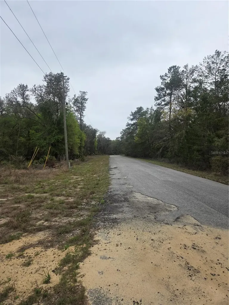 127 Sequoia Trail Ocklawaha FL 32179