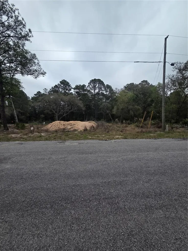 127 Sequoia Trail Ocklawaha FL 32179