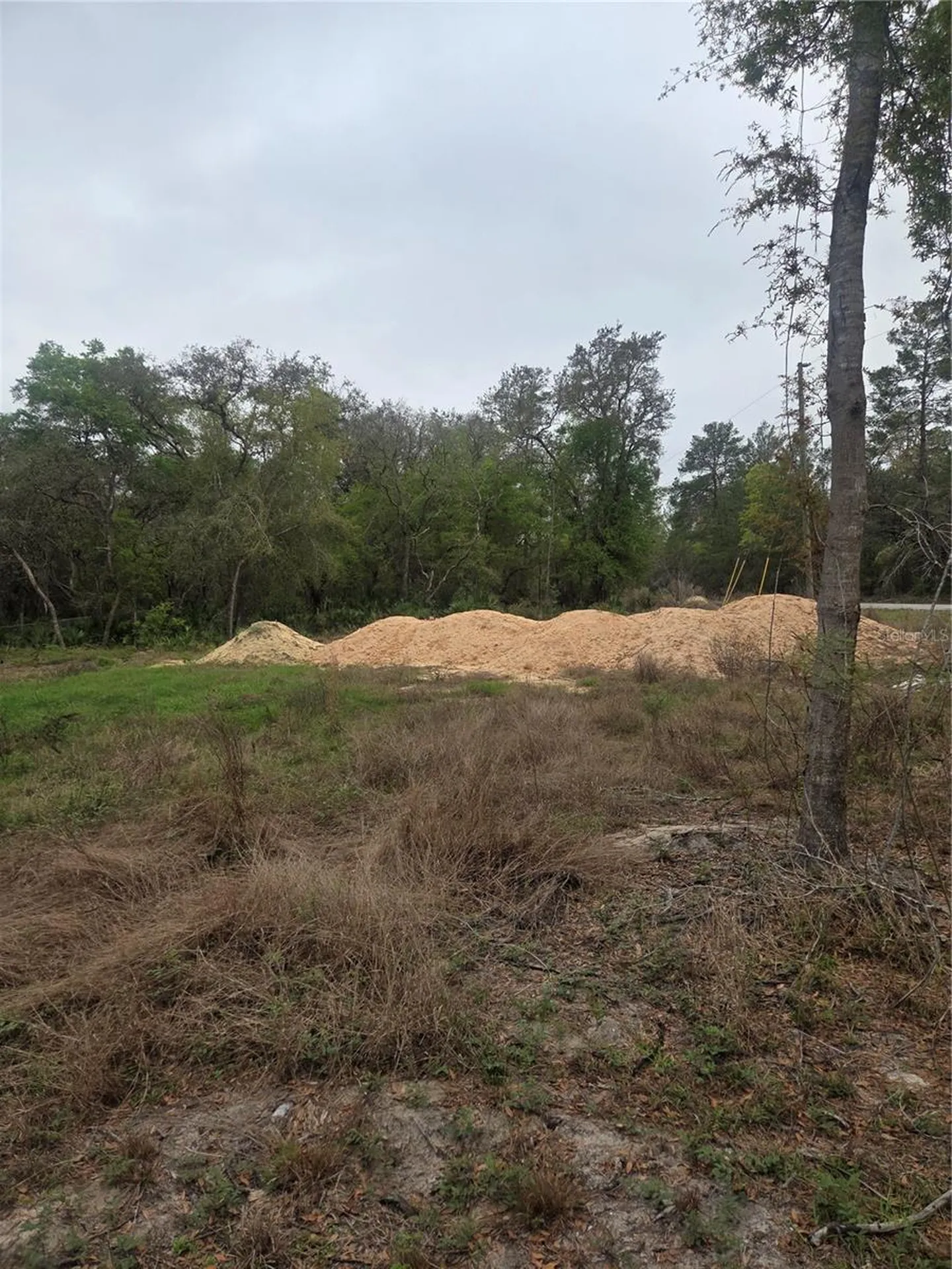 127 Sequoia Trail Ocklawaha FL 32179