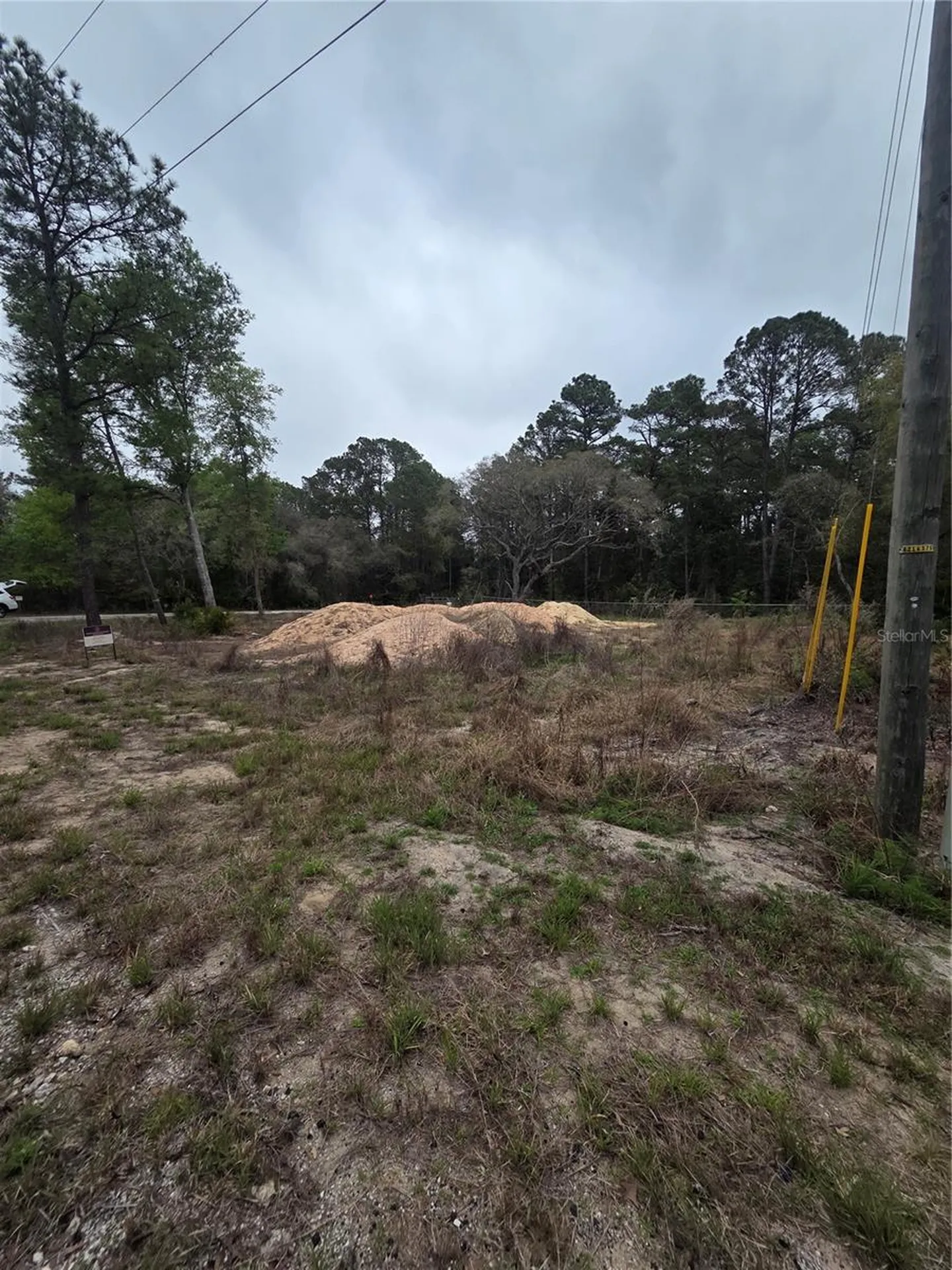 127 Sequoia Trail Ocklawaha FL 32179