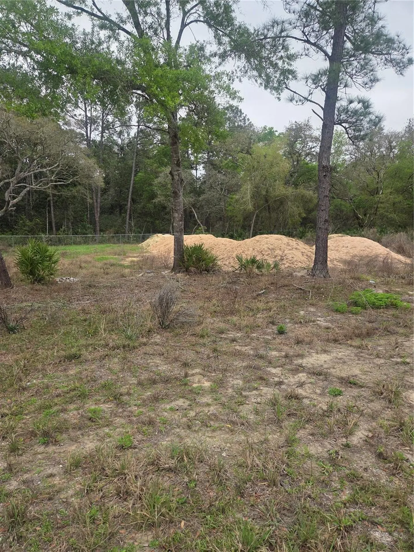 127 Sequoia Trail Ocklawaha FL 32179