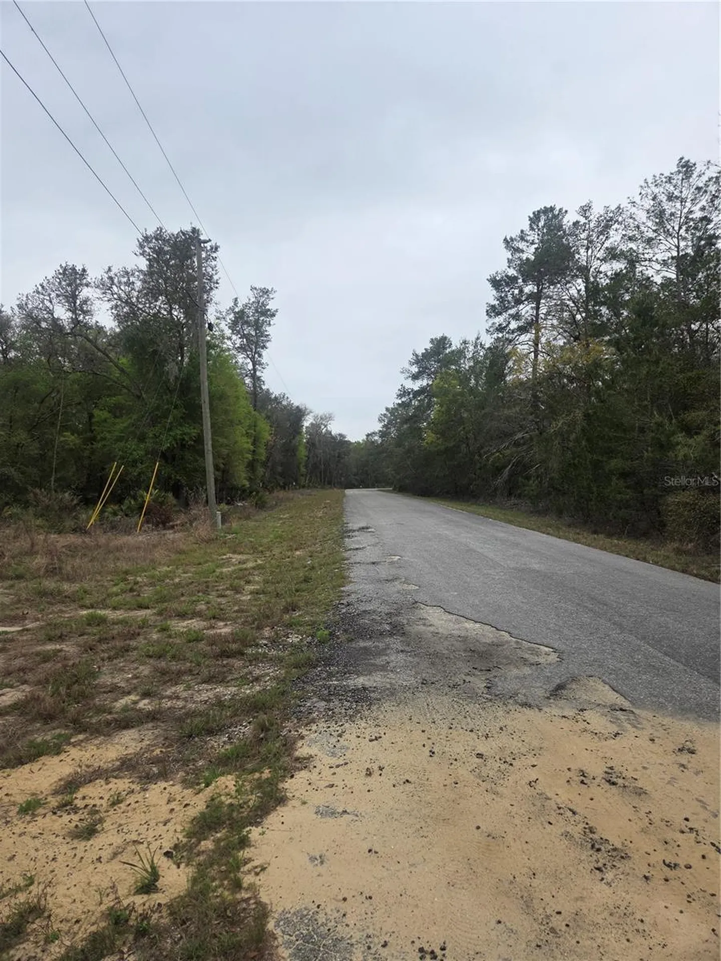 127 Sequoia Trail Ocklawaha FL 32179
