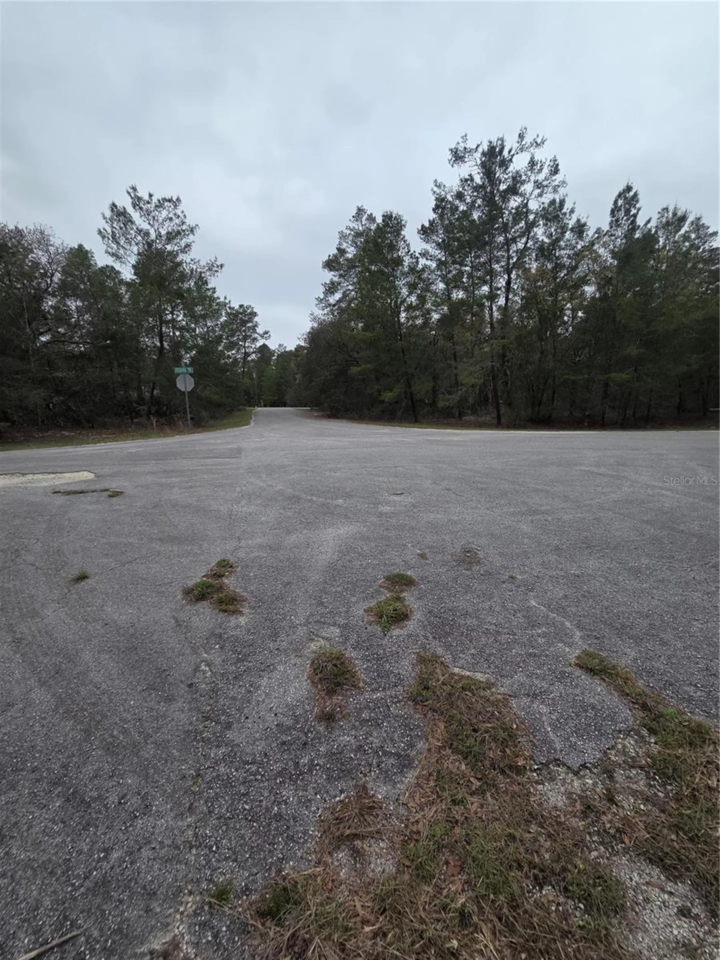 127 Sequoia Trail Ocklawaha FL 32179