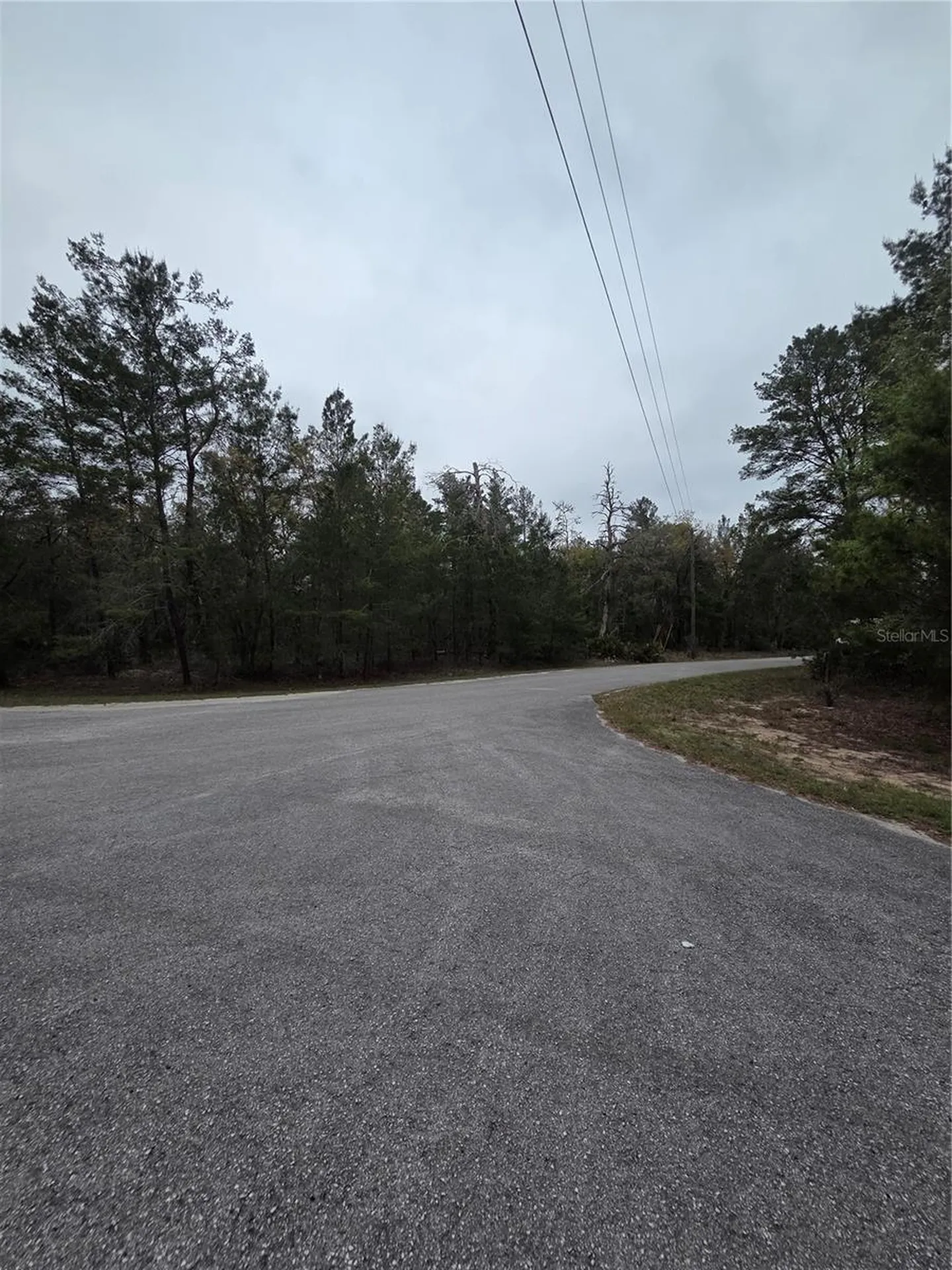 127 Sequoia Trail Ocklawaha FL 32179