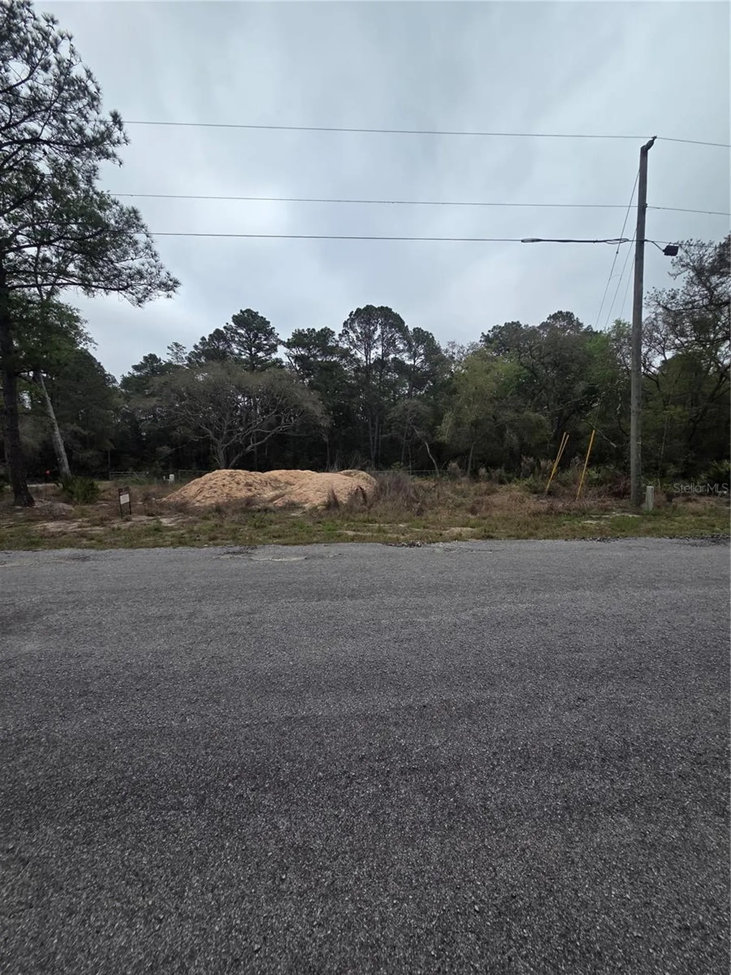 127 Sequoia Trail Ocklawaha FL 32179