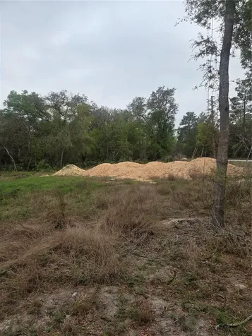 127 Sequoia Trail Ocklawaha FL 32179