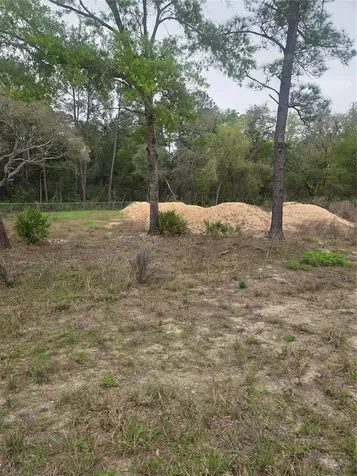 127 Sequoia Trail Ocklawaha FL 32179