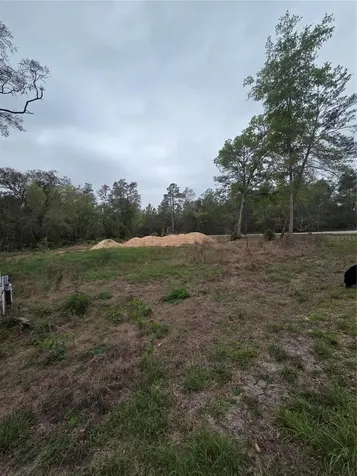 127 Sequoia Trail Ocklawaha FL 32179
