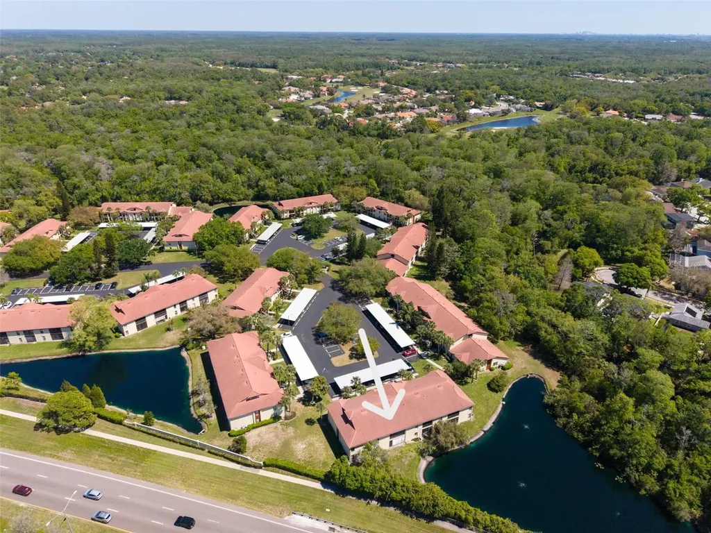 1801 E Lake Road Palm Harbor FL 34685