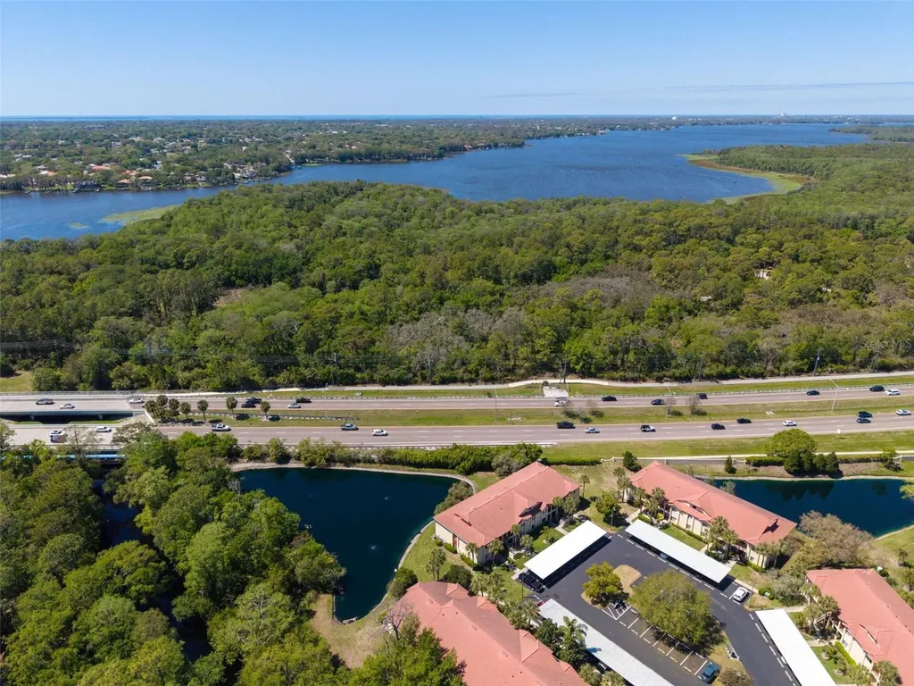 1801 E Lake Road Palm Harbor FL 34685