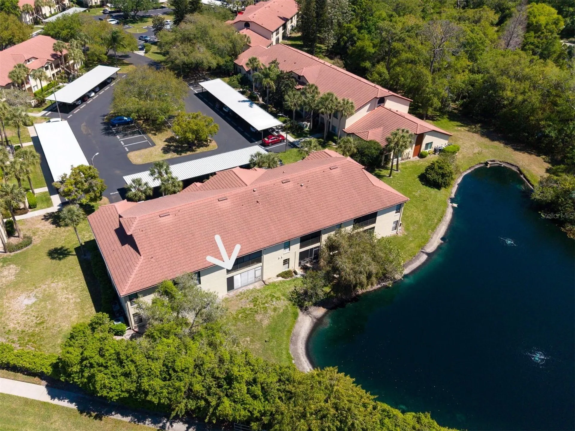 1801 E Lake Road Palm Harbor FL 34685