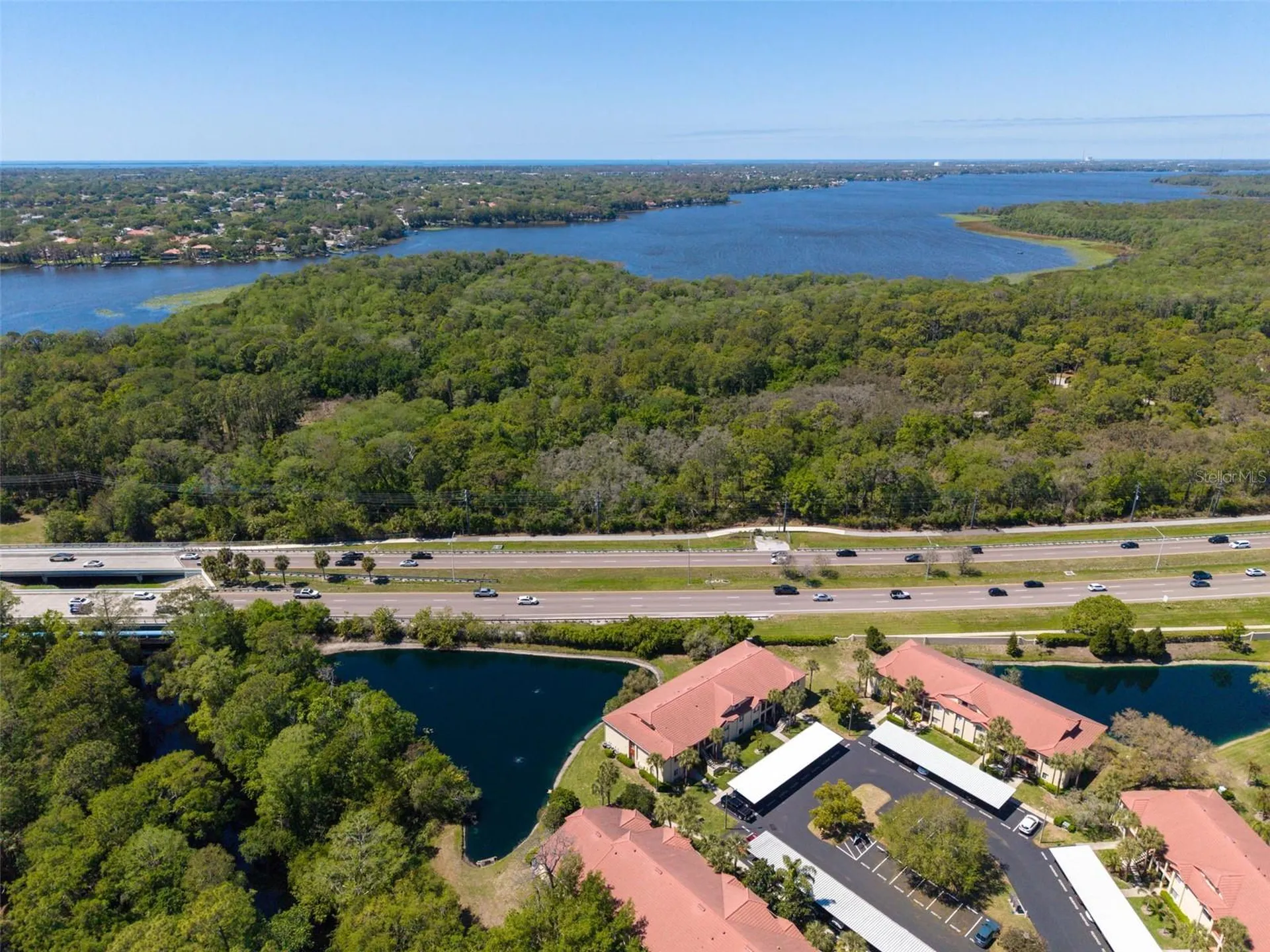 1801 E Lake Road Palm Harbor FL 34685