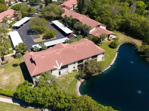 1801 E Lake Road Palm Harbor FL 34685