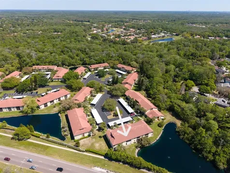 1801 E Lake Road Palm Harbor FL 34685