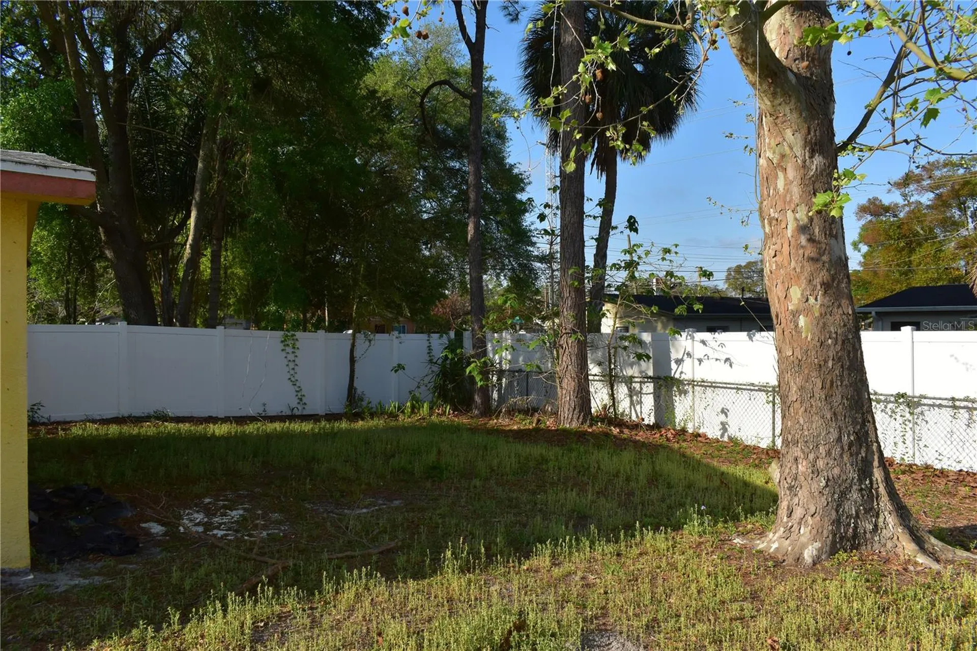 10004 N 23rd Street Tampa FL 33612