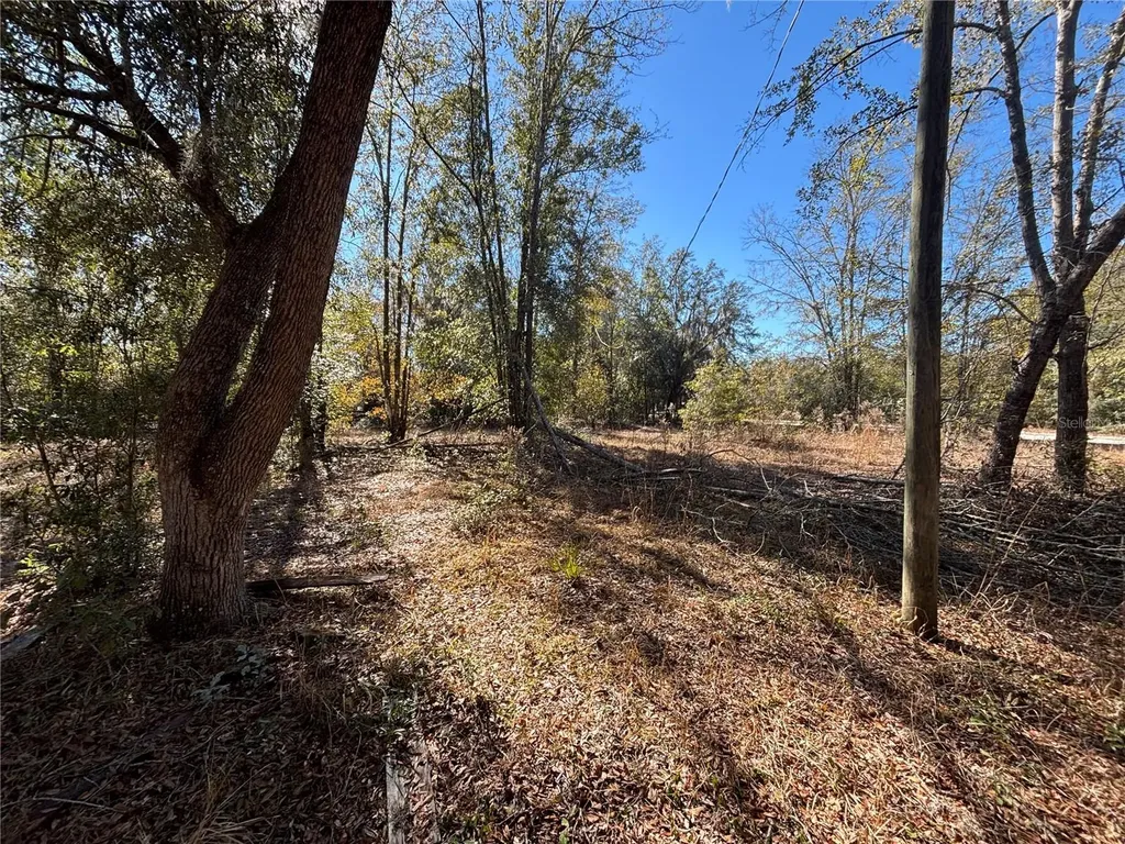 1077 NW Hamp Farmer Road Lake City FL 32055